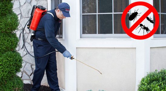 Avanos Gümüşkurt İlaçlama böcek ilaçlama ve haşere kontrolü — ilaclama-tr.com